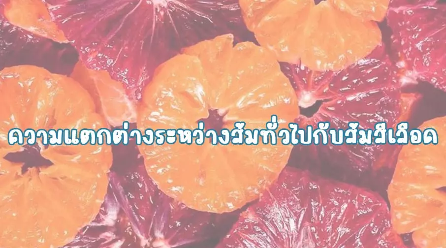 ความแตกต่างระหว่างส้มทั่วไปกับส้มสีเลือด 